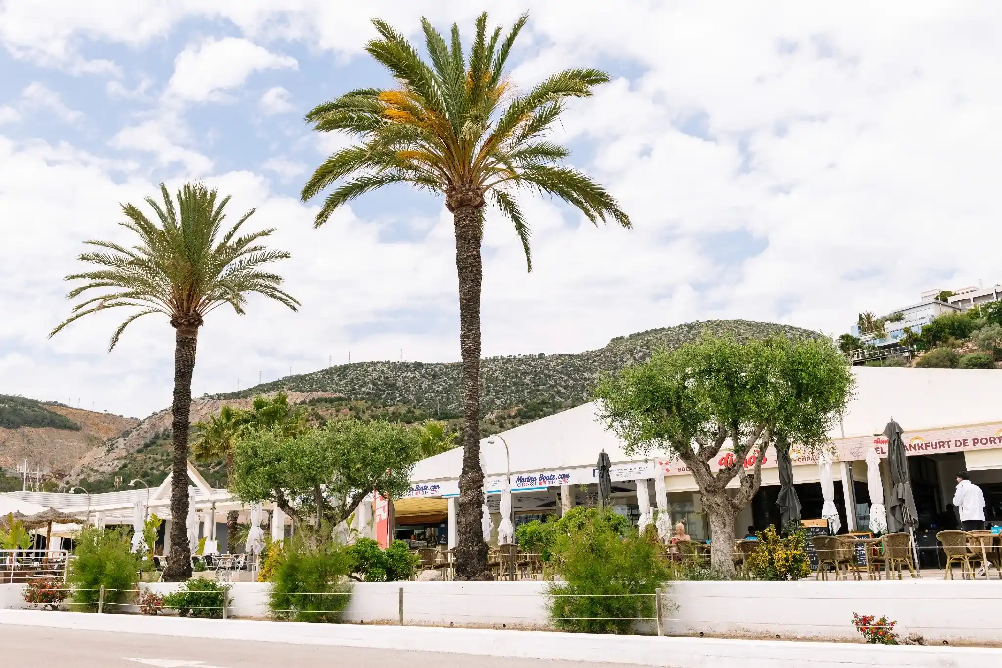 Entrada de Port Ginesta con las palmeras del paseo y el macizo del Garraf al fondo
