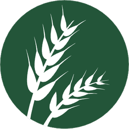 Gluten Gluten