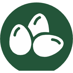 Huevos Huevos